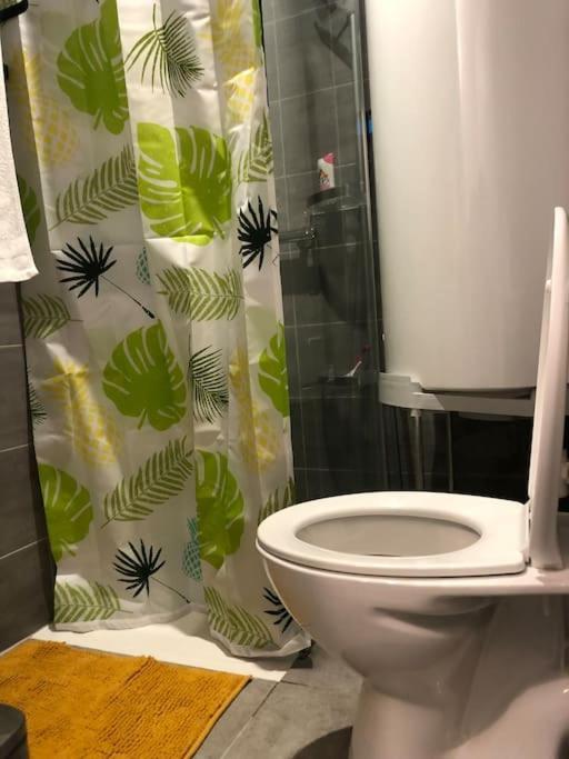 Superbe Appartement Meuble Refait A Neuf Tricastin 皮埃尔拉特 外观 照片